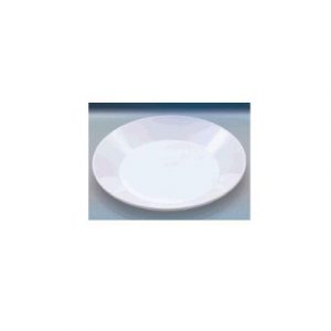 PLATO LLANO 22 CM