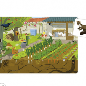 JUEGOS DE LA NATURALEZA