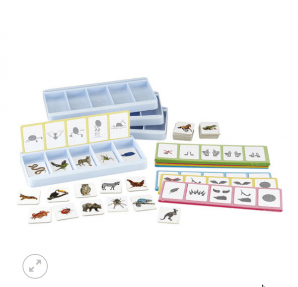 TALLER DE CLASIFICACIÓN: LOS ANIMALES