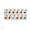 BEE BOT STARTER SET - Imagen 2
